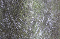 Edingthorpe fibreglass roof work